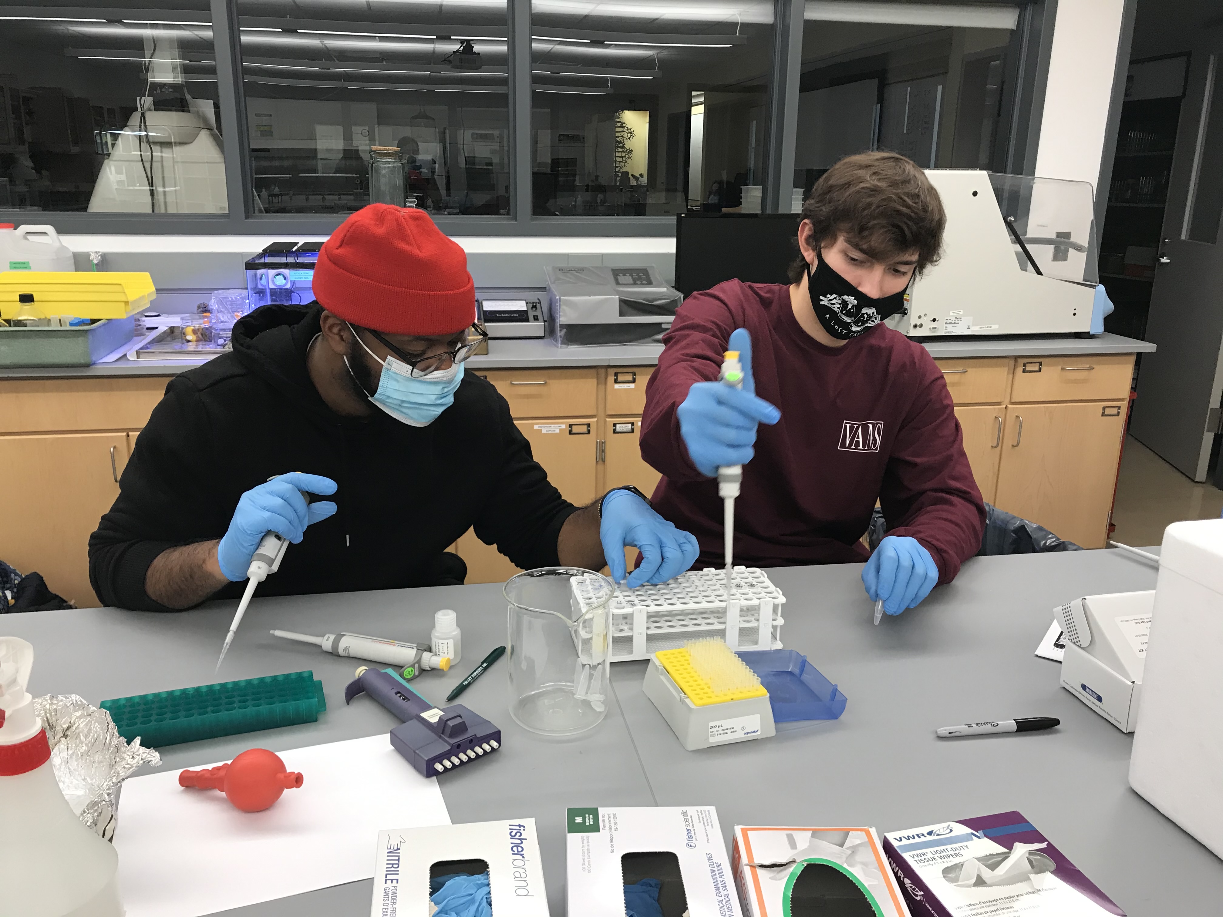 B.A. in Psychology for Students Entering Prior to 2024 Psychology